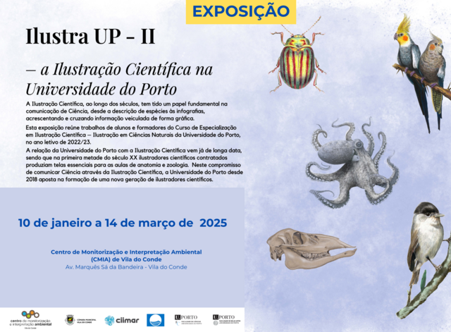 exposicao