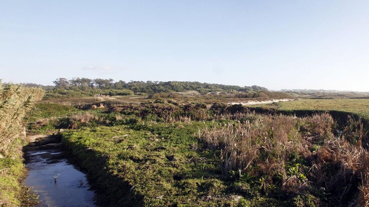 amvc_120883_rom_1_1920_1080_1_1920_2500