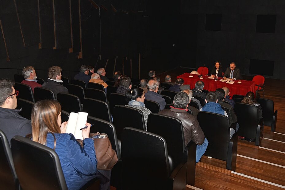 AMVC-Reuni&atilde;o - Festival Folcl&oacute;rico Concelhio -DSC_4220-Face