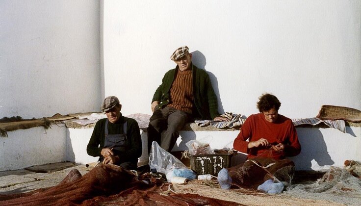 exp_saramago_1_736_420