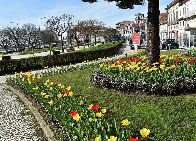 imagem 600px tr&ecirc;s